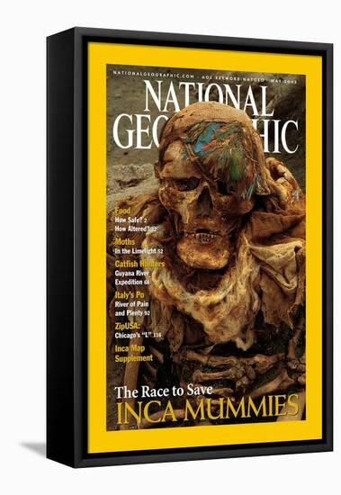 Cover of the May, 2002 National Geographic Magazine-Ira Block-Framed Stretched Canvas