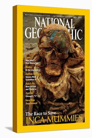 Cover of the May, 2002 National Geographic Magazine-Ira Block-Stretched Canvas