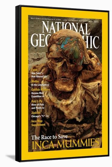 Cover of the May, 2002 National Geographic Magazine-Ira Block-Framed Stretched Canvas