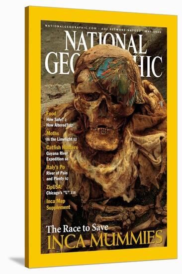 Cover of the May, 2002 National Geographic Magazine-Ira Block-Stretched Canvas