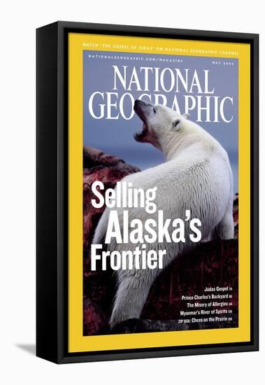 Cover of the May, 2006 National Geographic Magazine-Joel Sartore-Framed Stretched Canvas