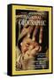 Cover of the November, 1987 National Geographic Magazine-James L. Stanfield-Framed Stretched Canvas