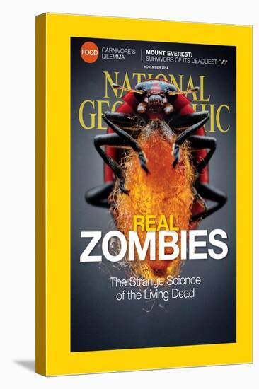 Cover of the November, 2014 National Geographic Magazine-Anand Varma-Stretched Canvas