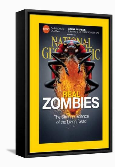 Cover of the November, 2014 National Geographic Magazine-Anand Varma-Framed Stretched Canvas