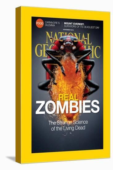 Cover of the November, 2014 National Geographic Magazine-Anand Varma-Stretched Canvas