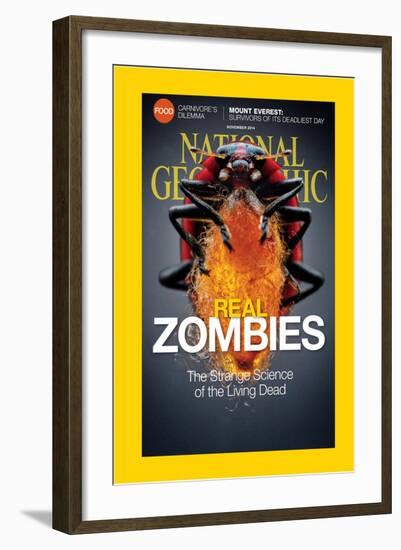 Cover of the November, 2014 National Geographic Magazine-Anand Varma-Framed Photographic Print