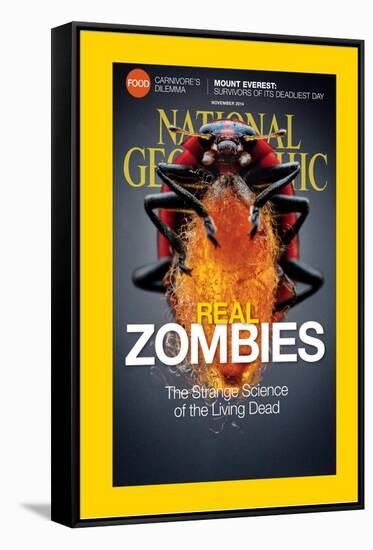 Cover of the November, 2014 National Geographic Magazine-Anand Varma-Framed Stretched Canvas