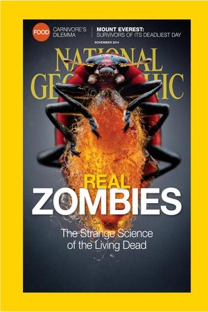 https://imgc.allpostersimages.com/img/posters/cover-of-the-november-2014-national-geographic-magazine_u-L-Q1INS0A0.jpg?artPerspective=n
