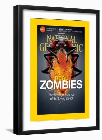 Cover of the November, 2014 National Geographic Magazine-Anand Varma-Framed Photographic Print