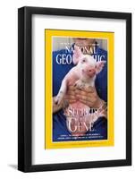 Cover of the October, 1999 National Geographic Magazine-Karen Kasmauski-Framed Photographic Print