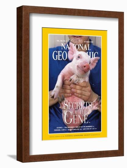 Cover of the October, 1999 National Geographic Magazine-Karen Kasmauski-Framed Photographic Print