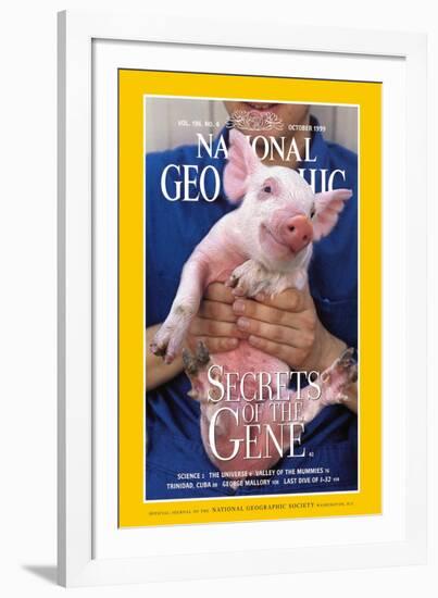 Cover of the October, 1999 National Geographic Magazine-Karen Kasmauski-Framed Photographic Print