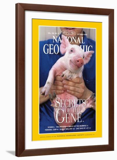 Cover of the October, 1999 National Geographic Magazine-Karen Kasmauski-Framed Photographic Print