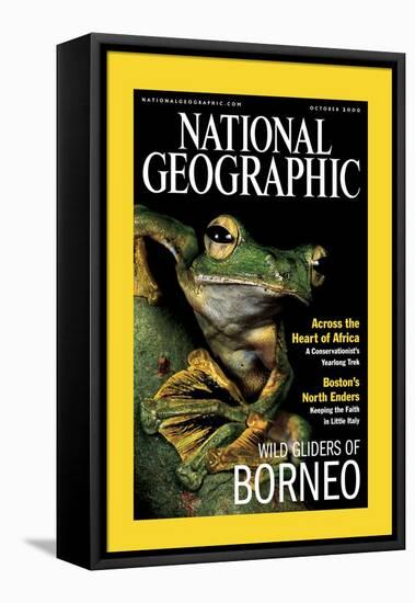 Cover of the October, 2000 National Geographic Magazine-Tim Laman-Framed Stretched Canvas