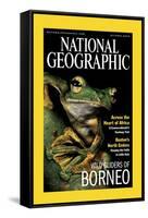 Cover of the October, 2000 National Geographic Magazine-Tim Laman-Framed Stretched Canvas