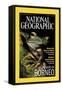 Cover of the October, 2000 National Geographic Magazine-Tim Laman-Framed Stretched Canvas