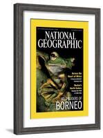 Cover of the October, 2000 National Geographic Magazine-Tim Laman-Framed Photographic Print