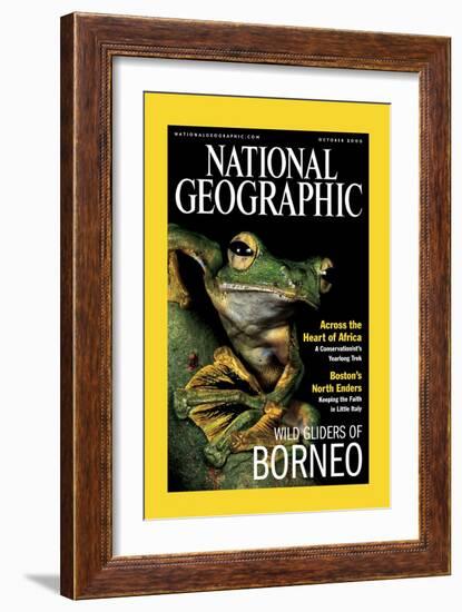 Cover of the October, 2000 National Geographic Magazine-Tim Laman-Framed Photographic Print