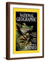 Cover of the October, 2000 National Geographic Magazine-Tim Laman-Framed Photographic Print