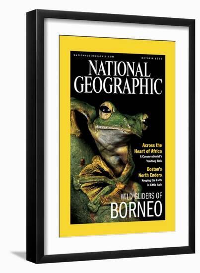 Cover of the October, 2000 National Geographic Magazine-Tim Laman-Framed Photographic Print