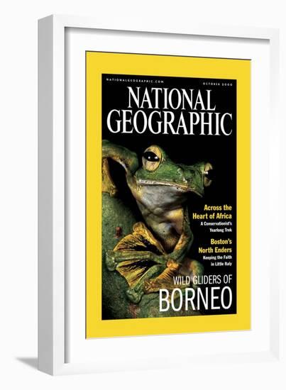 Cover of the October, 2000 National Geographic Magazine-Tim Laman-Framed Photographic Print