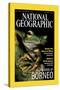 Cover of the October, 2000 National Geographic Magazine-Tim Laman-Stretched Canvas