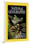 Cover of the October, 2000 National Geographic Magazine-Tim Laman-Framed Photographic Print