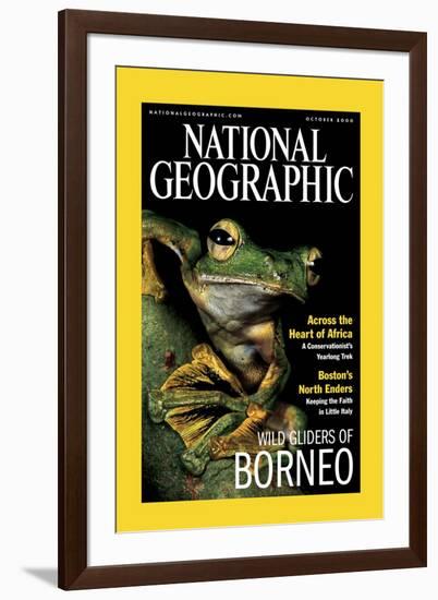 Cover of the October, 2000 National Geographic Magazine-Tim Laman-Framed Photographic Print