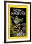 Cover of the October, 2000 National Geographic Magazine-Tim Laman-Framed Photographic Print