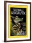 Cover of the October, 2000 National Geographic Magazine-Tim Laman-Framed Photographic Print