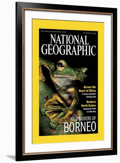 Cover of the October, 2000 National Geographic Magazine-Tim Laman-Framed Photographic Print