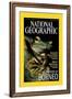 Cover of the October, 2000 National Geographic Magazine-Tim Laman-Framed Photographic Print