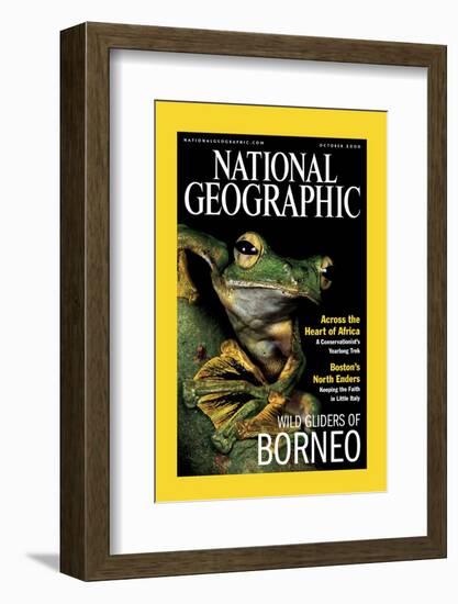 Cover of the October, 2000 National Geographic Magazine-Tim Laman-Framed Photographic Print