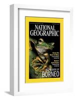 Cover of the October, 2000 National Geographic Magazine-Tim Laman-Framed Photographic Print