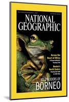 Cover of the October, 2000 National Geographic Magazine-Tim Laman-Mounted Photographic Print