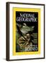 Cover of the October, 2000 National Geographic Magazine-Tim Laman-Framed Photographic Print