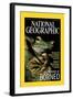 Cover of the October, 2000 National Geographic Magazine-Tim Laman-Framed Photographic Print