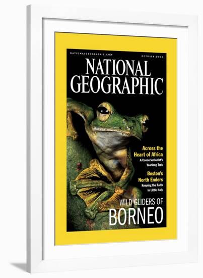 Cover of the October, 2000 National Geographic Magazine-Tim Laman-Framed Photographic Print