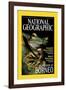 Cover of the October, 2000 National Geographic Magazine-Tim Laman-Framed Photographic Print