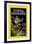 Cover of the October, 2000 National Geographic Magazine-Tim Laman-Framed Photographic Print