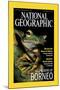 Cover of the October, 2000 National Geographic Magazine-Tim Laman-Mounted Photographic Print