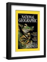 Cover of the October, 2000 National Geographic Magazine-Tim Laman-Framed Photographic Print