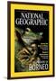 Cover of the October, 2000 National Geographic Magazine-Tim Laman-Framed Photographic Print