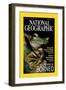 Cover of the October, 2000 National Geographic Magazine-Tim Laman-Framed Photographic Print