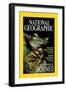 Cover of the October, 2000 National Geographic Magazine-Tim Laman-Framed Photographic Print