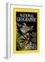 Cover of the October, 2000 National Geographic Magazine-Tim Laman-Framed Photographic Print