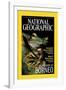 Cover of the October, 2000 National Geographic Magazine-Tim Laman-Framed Premium Photographic Print