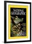 Cover of the October, 2000 National Geographic Magazine-Tim Laman-Framed Photographic Print