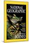 Cover of the October, 2000 National Geographic Magazine-Tim Laman-Mounted Photographic Print