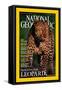 Cover of the October, 2001 National Geographic Magazine-Kim Wolhuter-Framed Stretched Canvas